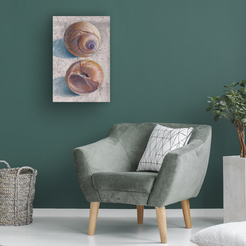 Bolog Donna Basile Moon Snails Canvas Art, 47" H x 30" W