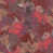 Rose est en rupture de stock