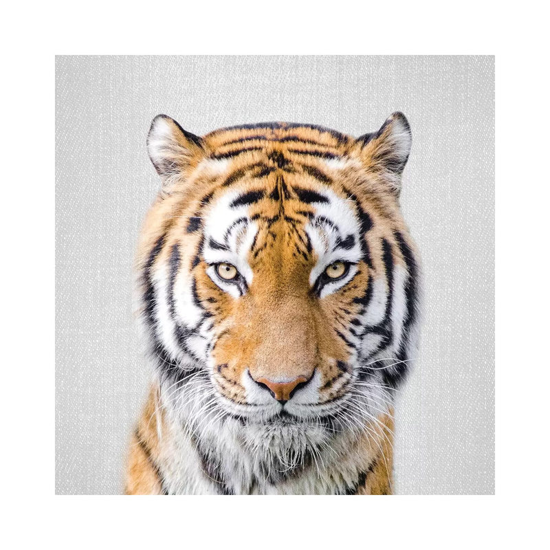 Tiger 1 Piece Wall Art on Canvas, 93.98cm H x 93.98cm W