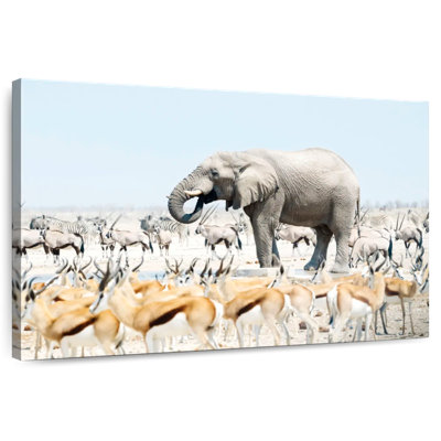 Brampt Safari éléphant Etosha