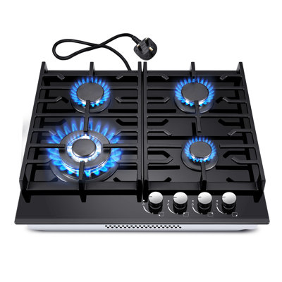 Topstrong Kochfeld 8000W Burner