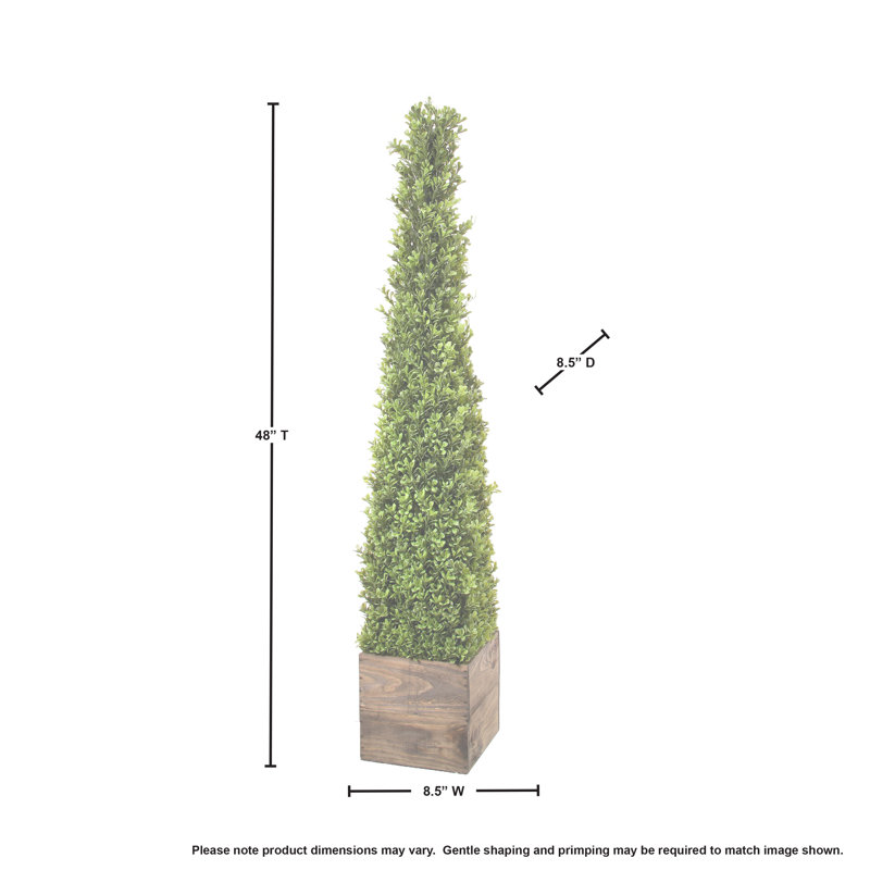 Armatha Faux Boxwood Topiary, 48" H x 7.5" W x 7.5" D