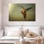 Colibri roux Brampt femelle-108815933