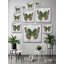 Nature's Angel - Print on Canvas-1369412310