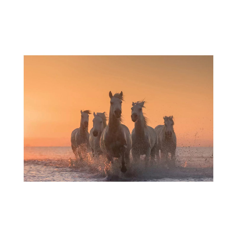 White Angels Of Camargue I 1 Piece Wrapped Canvas Wall Art, 66.04 cm H x 45.72 cm W x 1.91 cm D