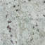  31'' Glacier White Granite Single Bathroom Vanity Top with Sink-46818304
