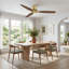 56'' Ceiling Fan