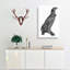 Spotted Eagle Illustration - Wrapped Canvas Print-55339046