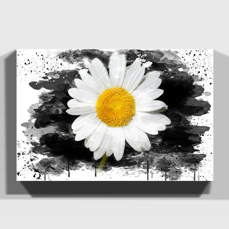 Flower White Daisy - Wall Art, 50cm H x 76cm W, Wrapped Canvas