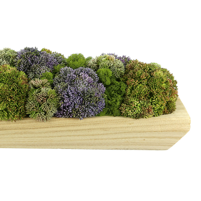 Assorted Sedum and Moss Arranged in Wood Planter, Green/Purple