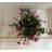 Lifelike Petunia Urn Filler - Purple and Yellow-1845585724