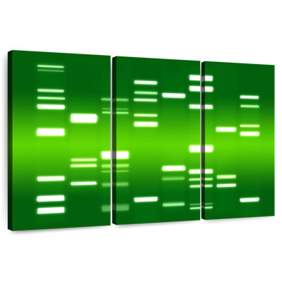 DNA Green