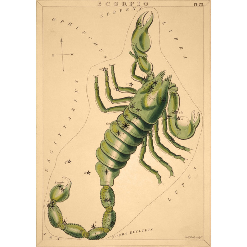 Scorpio Print by Grand Archives, 32" H x 23" W, Gold Framed