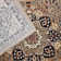 Arranjeet Oriental Area Rug