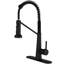 Pull Down Single Handle Kitchen Faucet with Accessories-87183577