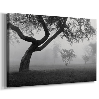 Into the Mist -Gallery Wrapped Cavas