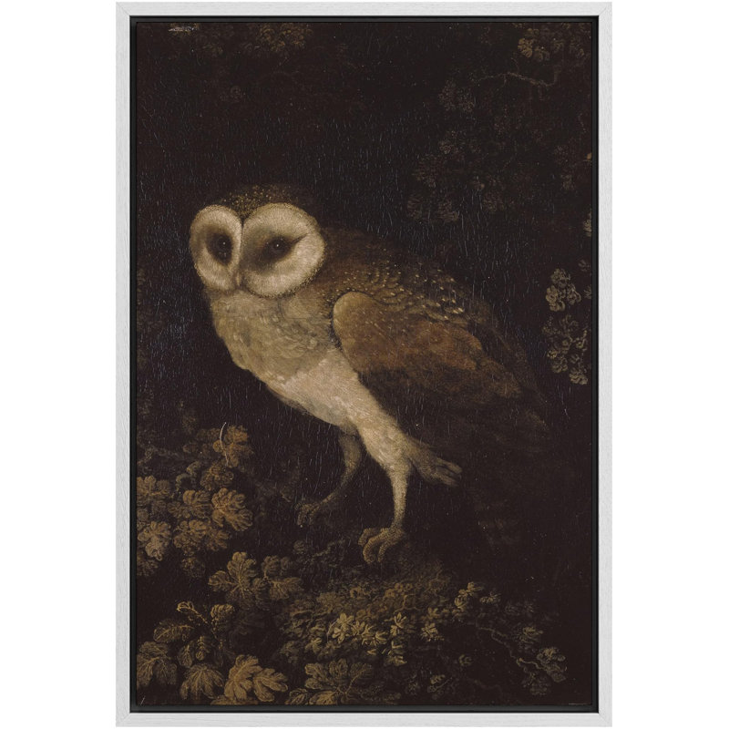 Oiseau, animaux sauvages, hibou, décor de ferme, animaux de la nature rustique, art moderne, décor douillet encadré sur toile