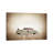 Argo Ambulance - Print on Canvas-1497047185-1553639456