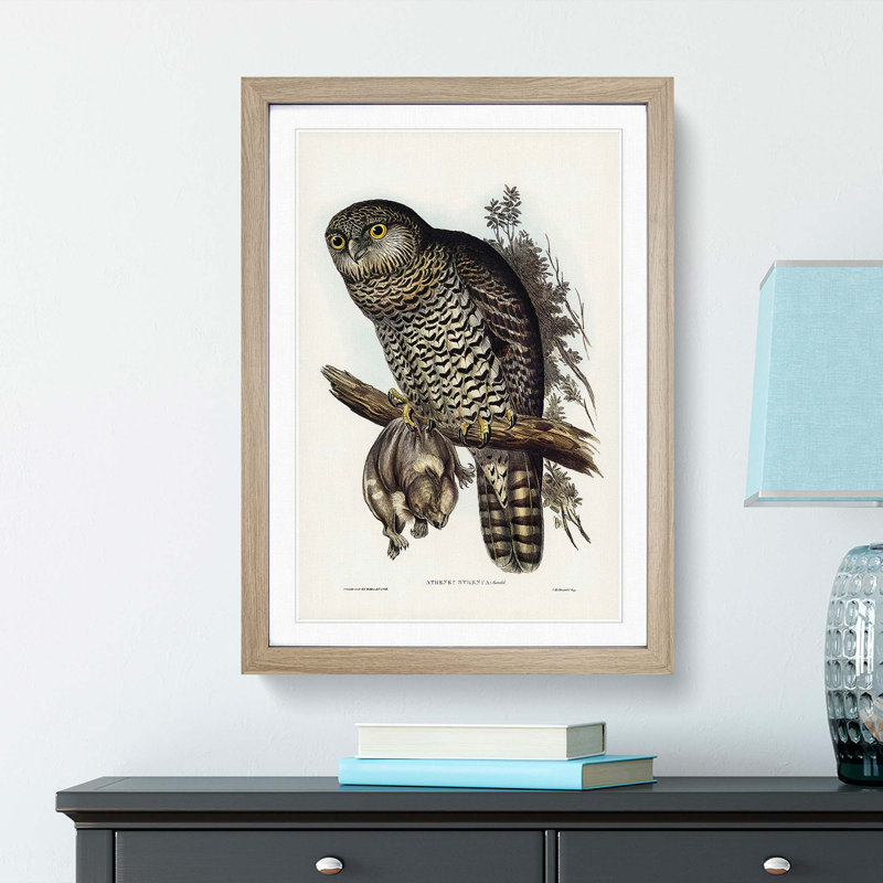 Powerful Owl by Elizabeth Gould - Picture Frame Painting Print, Oak Framed, 48cm H x 36cm W x 2cm D