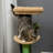 182.88cm H Cat Tree