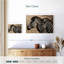 Brampt Zebra Friends-108707794