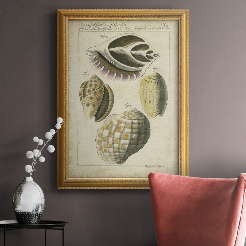 Étude de coquillage rétro I, toile encadrée de qualité supérieure - prête à être accrochée, H 36 po x l 24 po x P 2,5 po