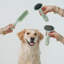 Brosse pour animaux de compagnie: moyenne
