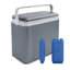 Wayfair Basics™ 24L Handheld Cooler-36832732