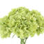 Hydrangea Bouquet In Vase-336806019