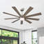 Ventilateur de plafond standard à 65 pales 65 pouces avec télécommande et ensemble d'éclairage inclus Babrak-108486489