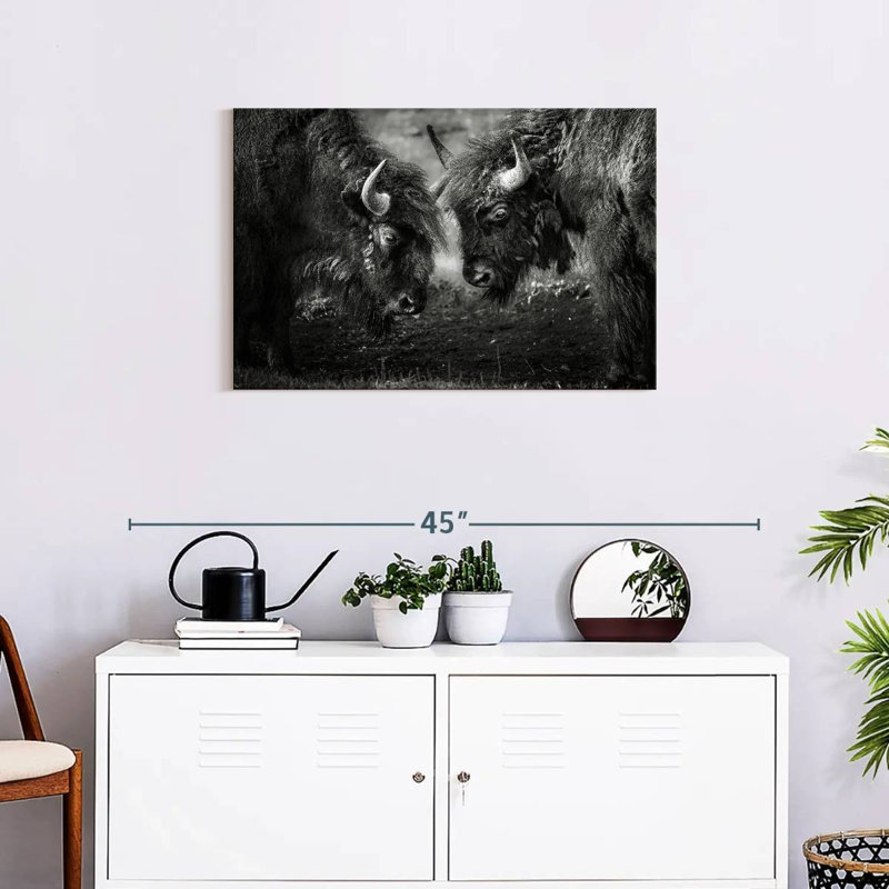 Brampt Bisons Head To Head, 20" H x 30" W