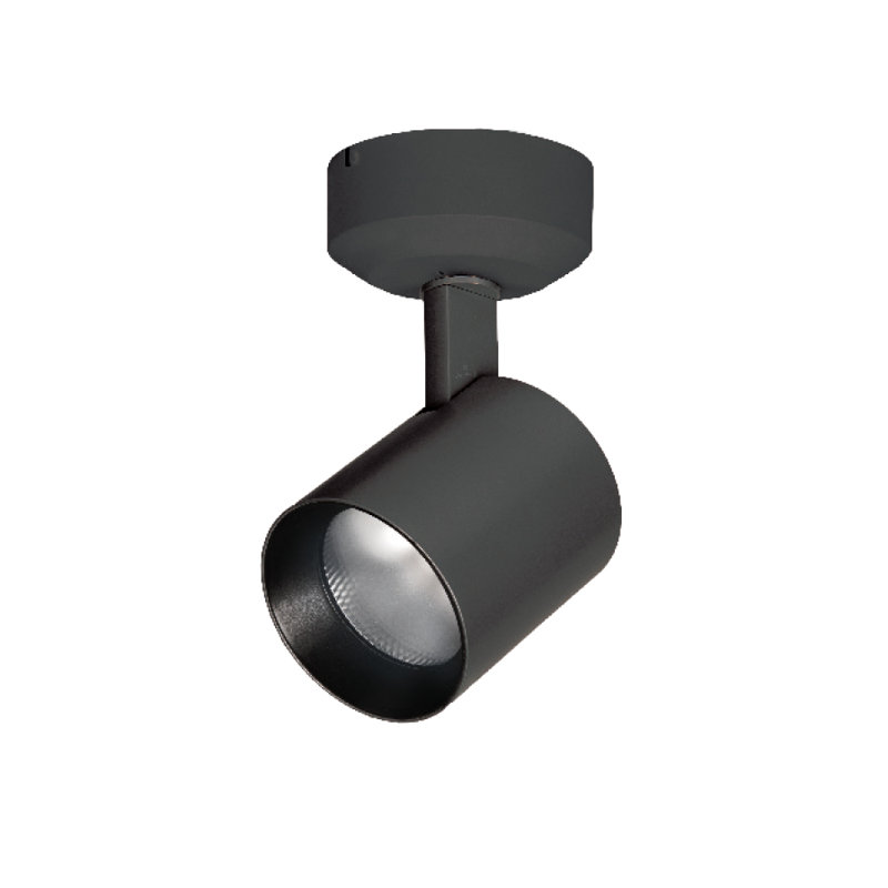 Lucio Outdoor Security Spot Light, 2700K/90 CRI, Black, Narrow