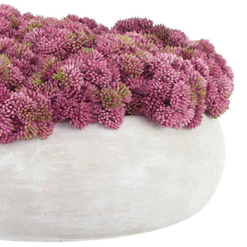 Sedum Arranged in a Stone Planter, Pink, 7" H x 11" W x 11" D