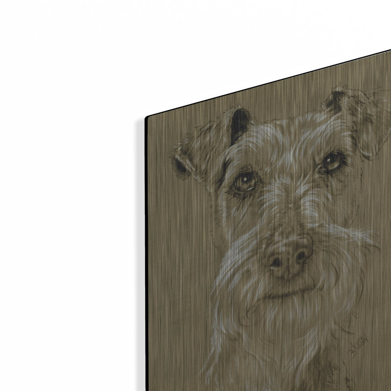 " Irish Terrier " by Barbara Keith, 16" H x 12" W