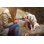 Mignon Labrador Retriever - photographie sur toile tendue