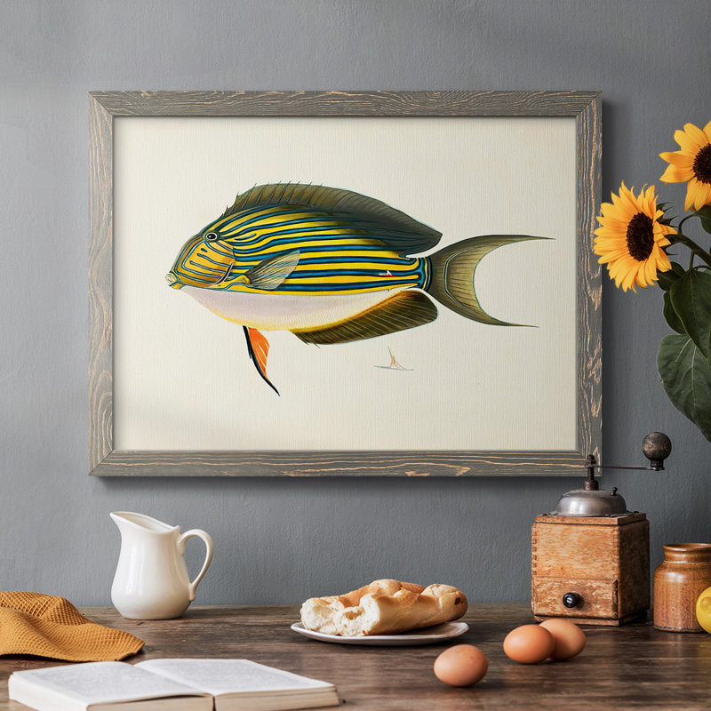 «Tropical Fish Collection I», reproduction sur toile, Gris, H 14 po x l 20 po