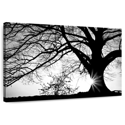 Silhouette de chêne Harnek
