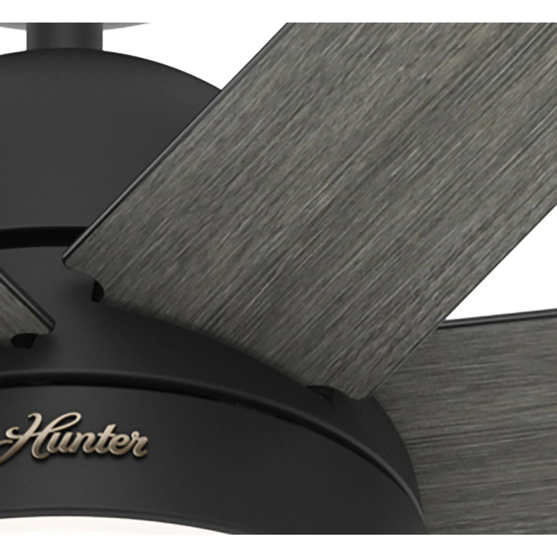 70" Phenomenon 7 - Blade Smart Standard Ceiling Fan with Pull Chain and Light Kit Included, Matte Black