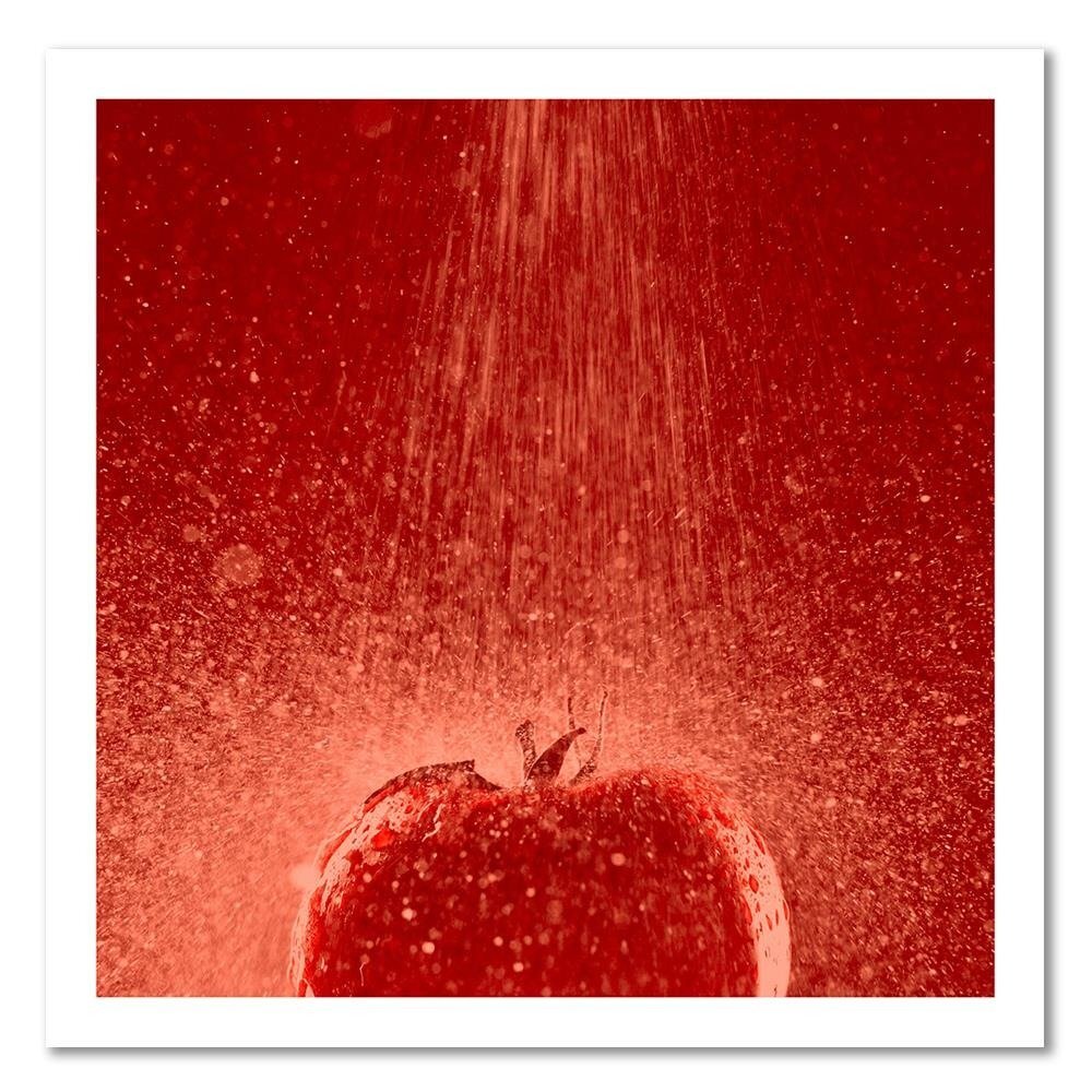 Leinwandbild Tomate im Wasserstrahl