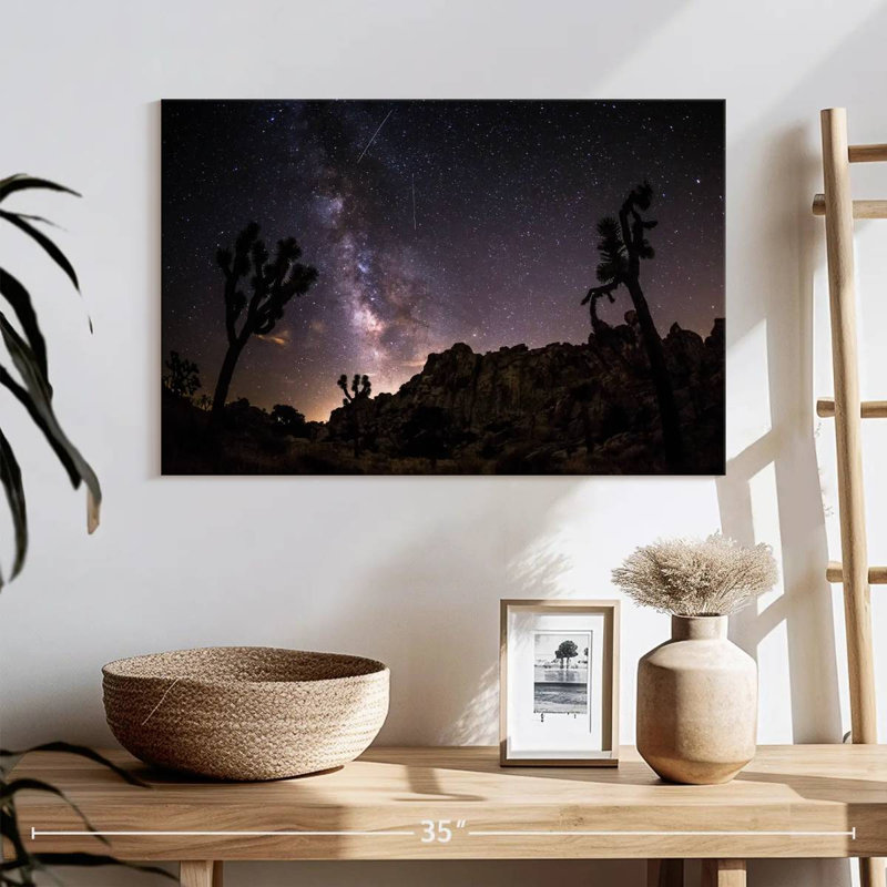 Parc arboré Oberle Starlit Joshua, H 16 po x l 24 po