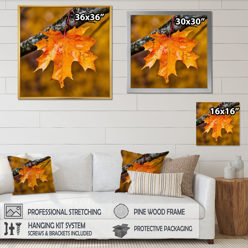 «Canadian Mapple Tree Leaves II», reproduction sur toile, H 36 po x l 36 po x P 1,5 po, Cadre photo noir