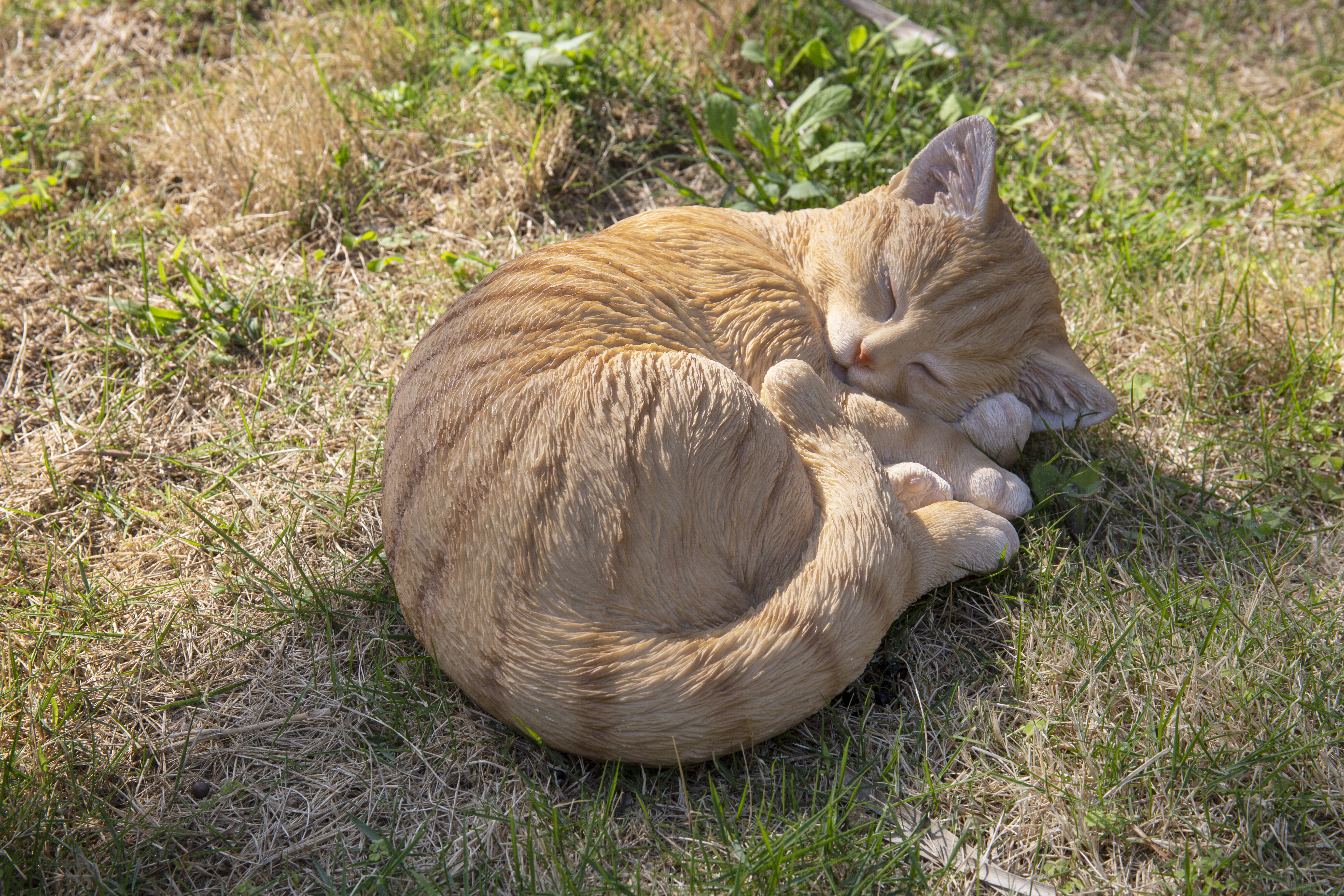 Hi-Line Gift Ltd Polyresin Lying Cat Sleeping Tabby Statue (Orange