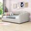Lit de jour rembourré avec rangement inférieur-231527119-231527112