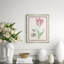 Flower, Seashell And Insect I Giclee Print by Soicher Marin Archives