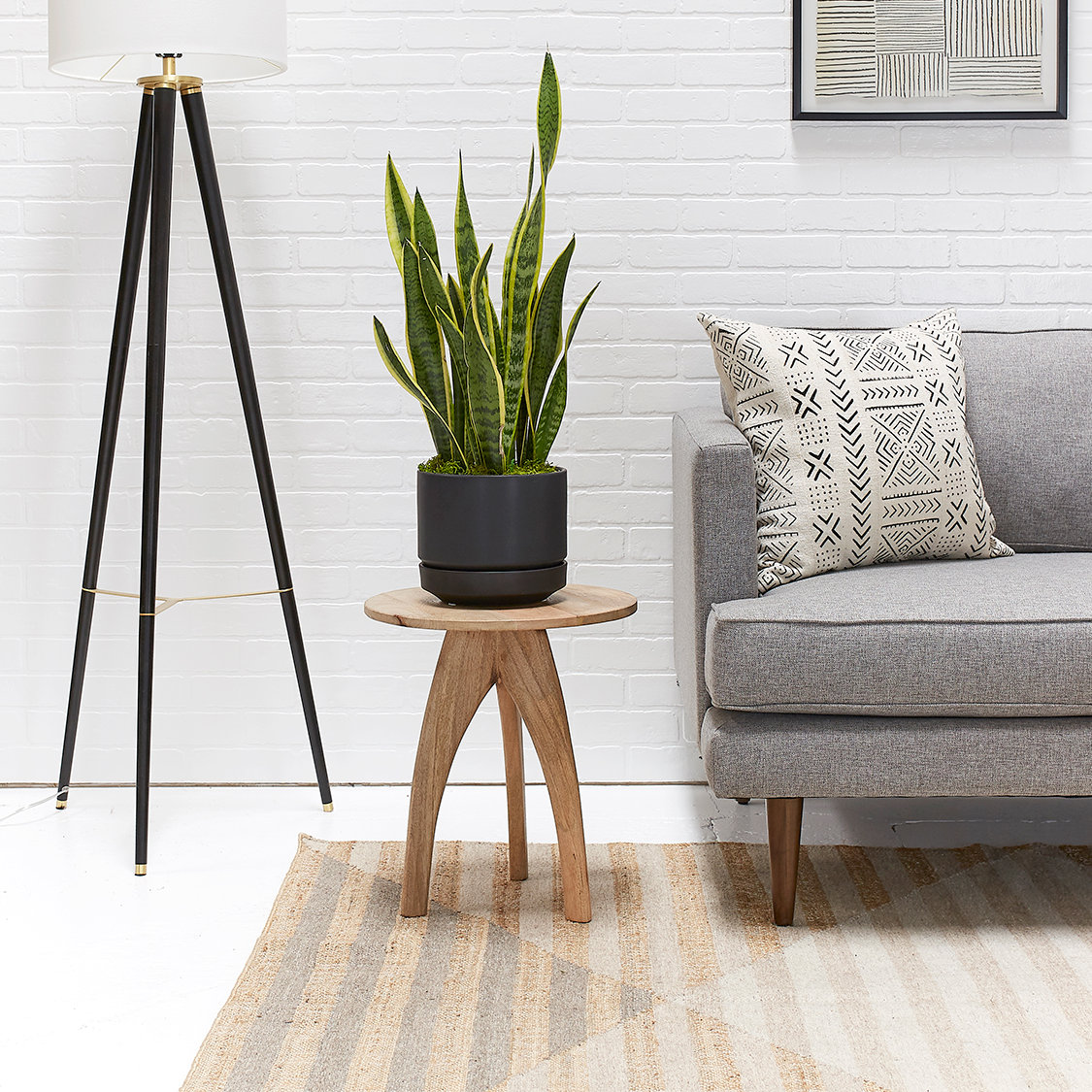 Byer Ceramic Pot Planter, 7.5" H x 8.75" W x 8.75" D, Black