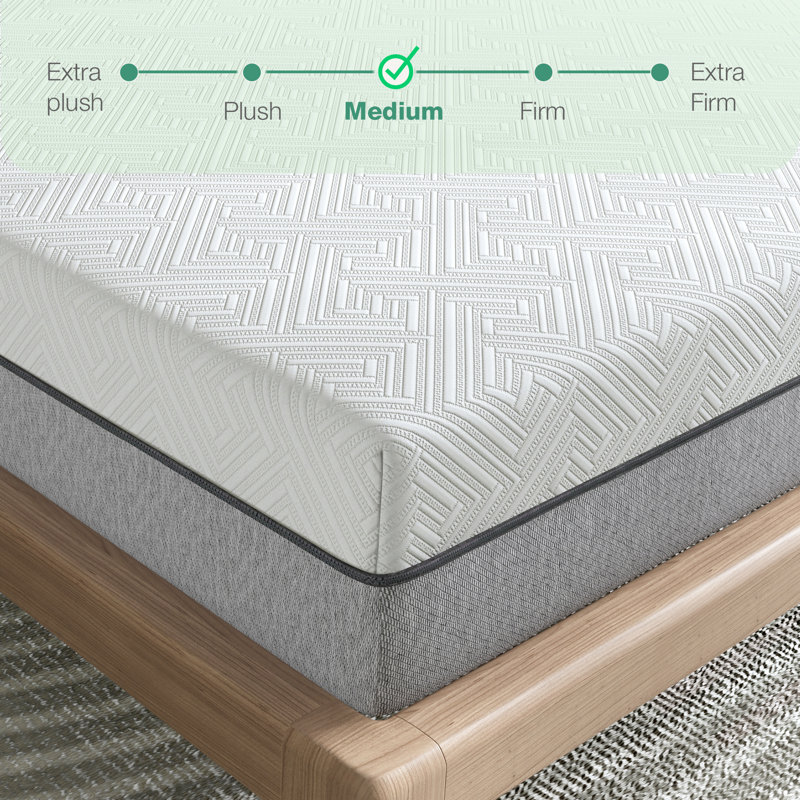 Matelas ferme en mousse viscoélastique imprégnée de charbon de bois de 6 po Alwyn Home Ergenekon, Grand lit