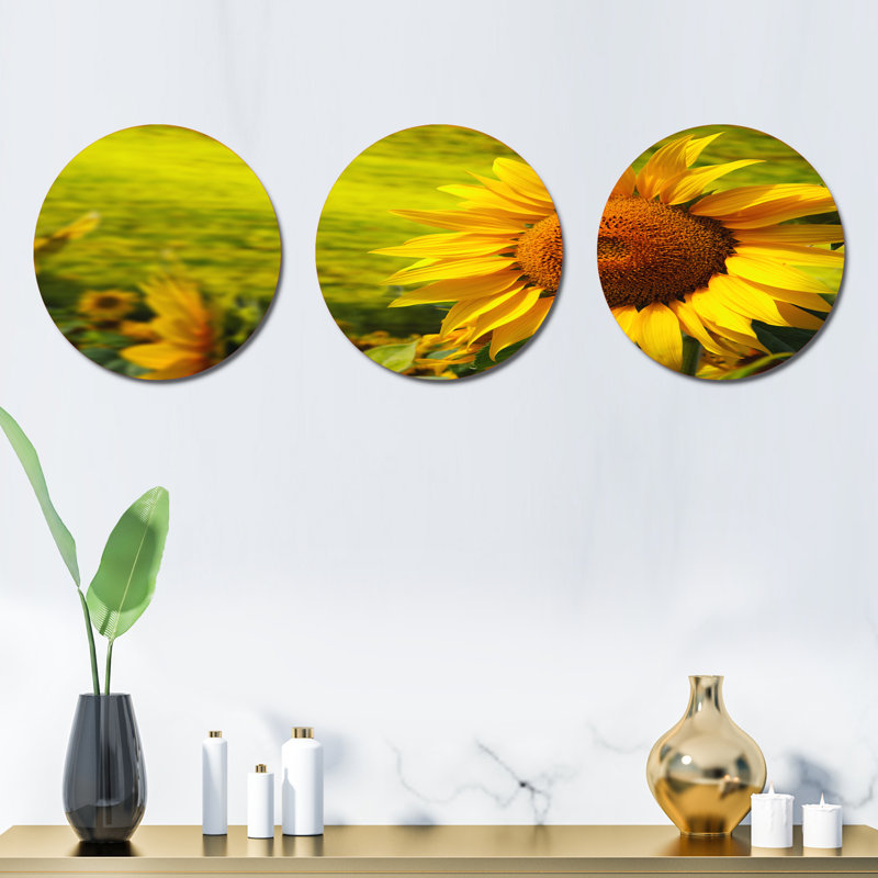 Ensemble de 3 décorations murales