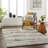 Nalana Abstract Indoor Rug-1045953331