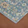 Colista Traditional Medallion Durable Performance Indoor / Outdoor Area Rug