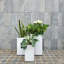 Pot à fleurs Kute Nest Elio Zen Fiberstone - blanc Santorini - H25 po-997449540-997449541